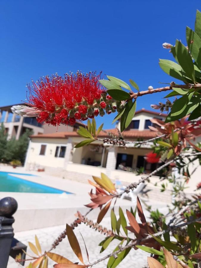 Nice, Cosy Studio Apartment With Shared Outdoor Pool バニョレ エクステリア 写真